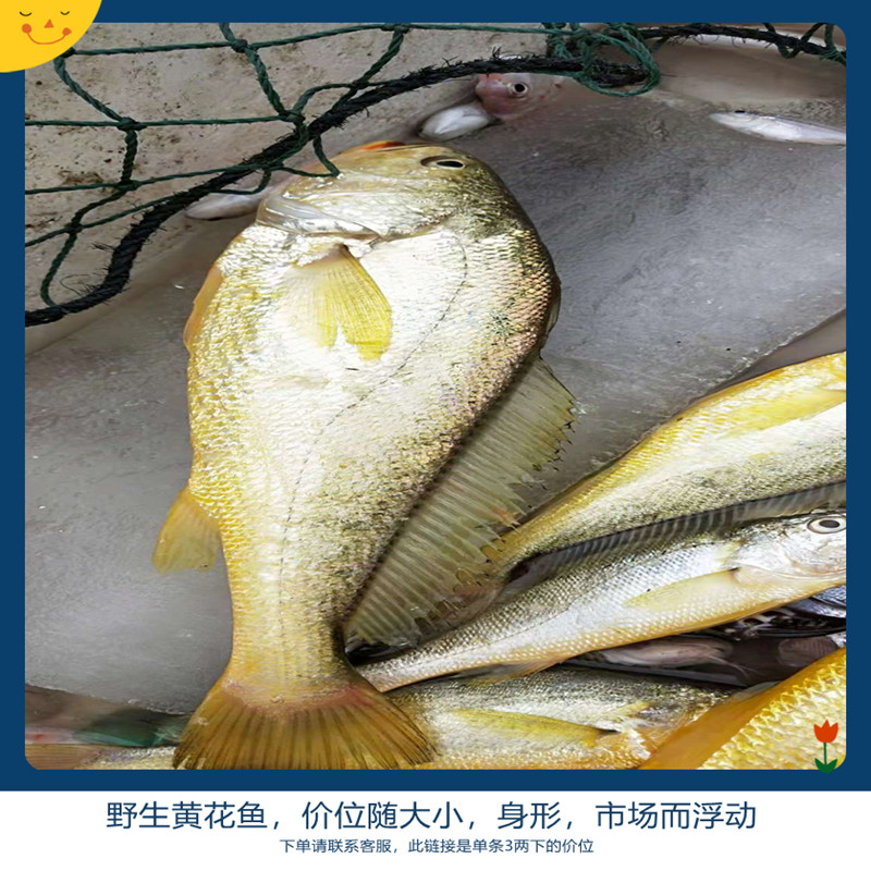 野生黄花鱼新鲜近海捕捞黄唇鱼1斤/份4斤顺丰包邮,水产肉类/新鲜蔬果/熟食,黄鱼,淘宝优惠券,粉丝福利购,淘宝优惠卷