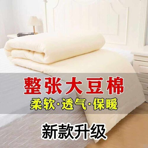 大豆纤维棉被芯丝绵可定制加厚保暖可水洗无异味环保孕婴可用