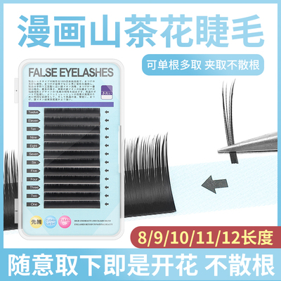 漫画款手工开花台式大花山茶花手