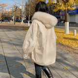 退货率低！现货168款P205控价288，女装棉衣/棉服，浙宝273