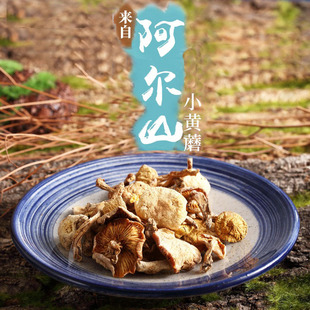 阿尔山小黄蘑菇内蒙古土特产纯香菇干货煲汤农家自然生长菌自产
