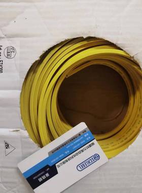 假一罚十 IFM  E74000   E74010   E74205 AS-Interface扁平电缆