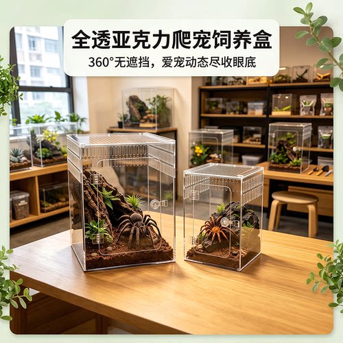 高透亚克力饲养盒，拍照超清晰