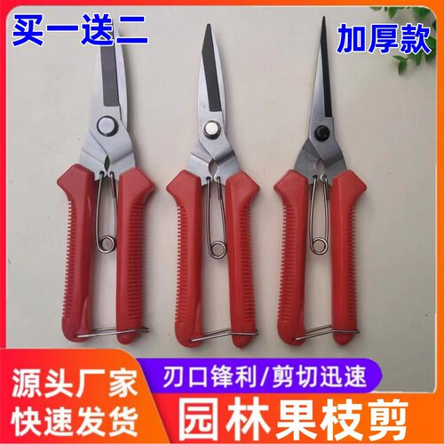 罗之优火龙果专用剪买一送二