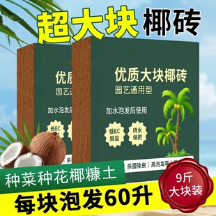 9斤大椰砖营养土种菜椰糠椰砖土脱盐粗椰壳椰土批发养花通用型