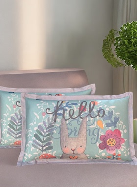 48x74cm夏天枕头套一对装家用套装夏季成人单个600D冰丝凉席枕套