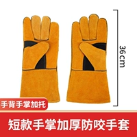 [Двойной слой маленький PET выделен 36 -сантиметровый цвет верблюда] 2 пары средней цены (2 двойная бесплатная доставка)