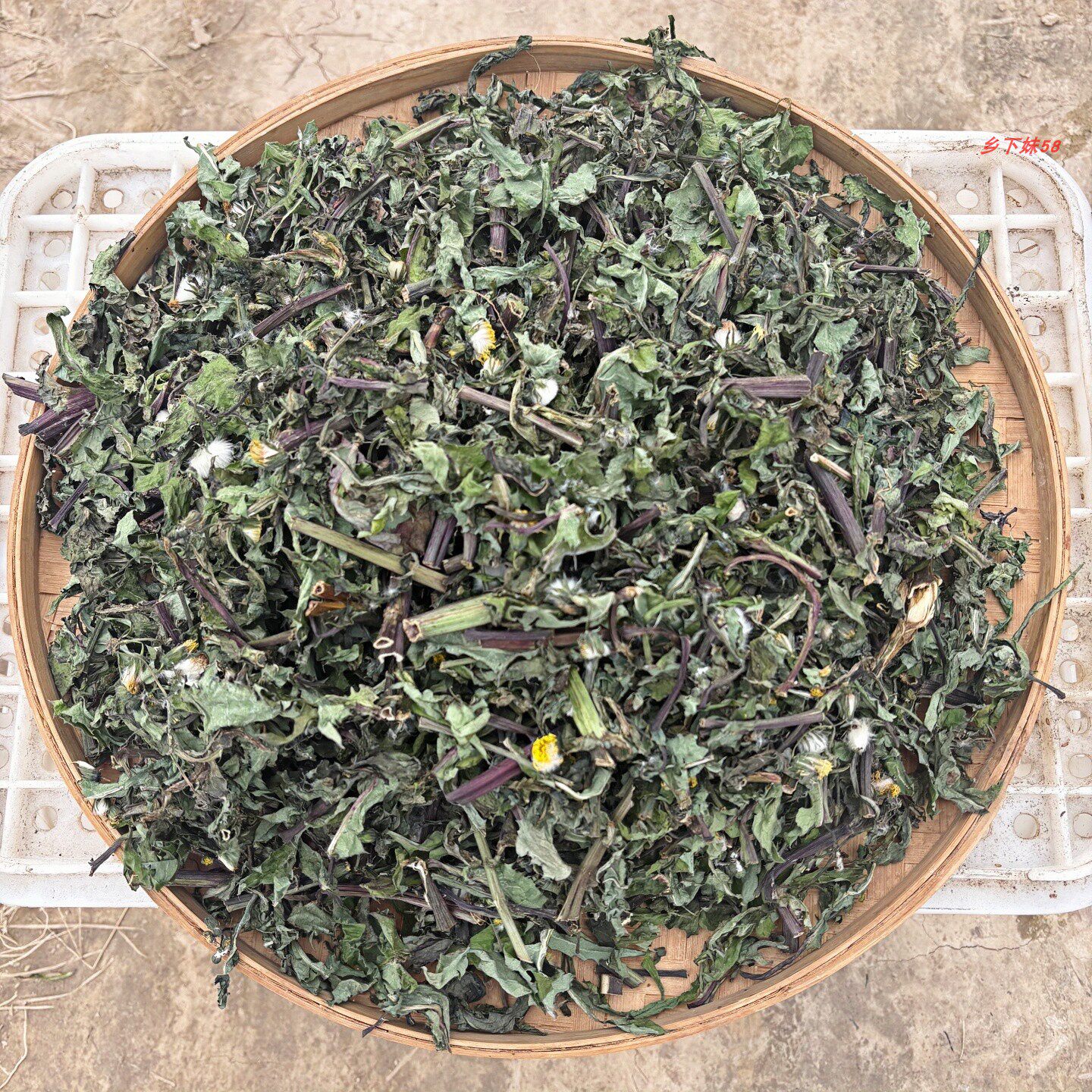 苦苣菜野生整棵带花切断晒干苦菜茶水洗500克泡茶苦苣菜苦菜干货