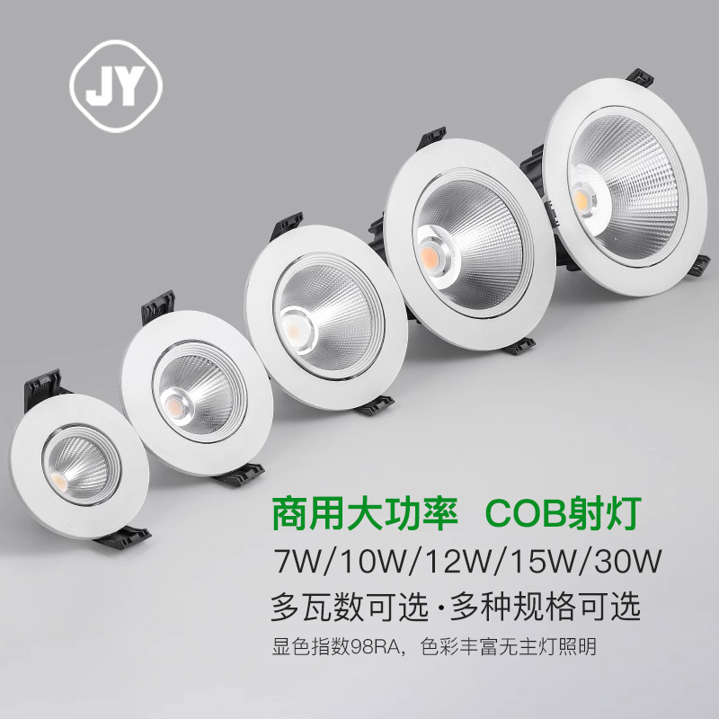 射灯LED天花灯嵌入式超亮COB家用