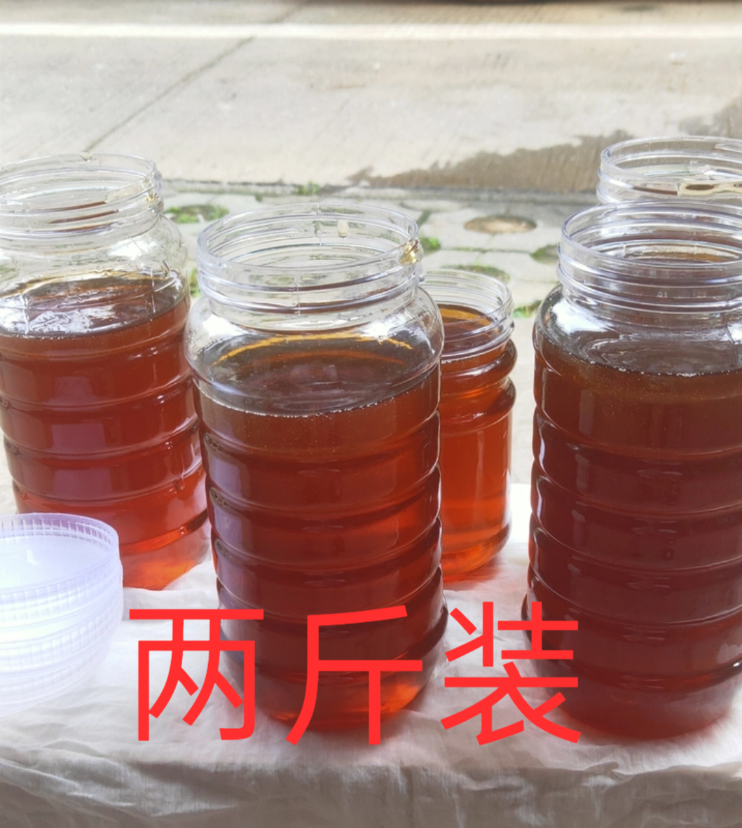 2025新蜜正宗土蜂蜜武夷山脉乌桕蜜新蜜纯天然野生蜂蜜现取现售