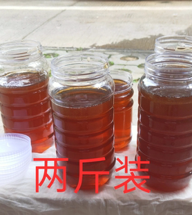 2025新蜜正宗土蜂蜜武夷山脉乌桕蜜新蜜纯天然野生蜂蜜现取现售