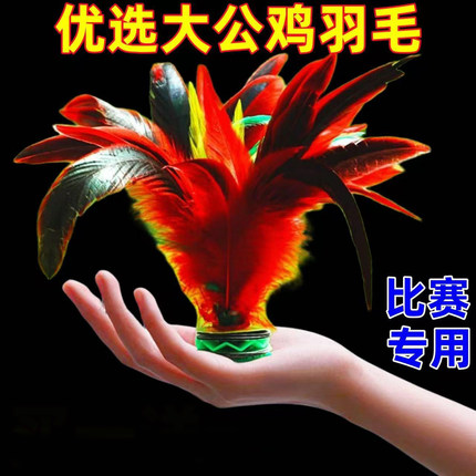 儿童毽子小学生专用成人大鸡毛运动耐踢腱子比赛跃动键子羽毛毽球