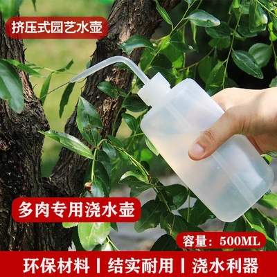 多肉弯嘴壶浇花浇水工具神器洗瓶喷壶家用尖嘴喷花瓶长嘴浇水壶