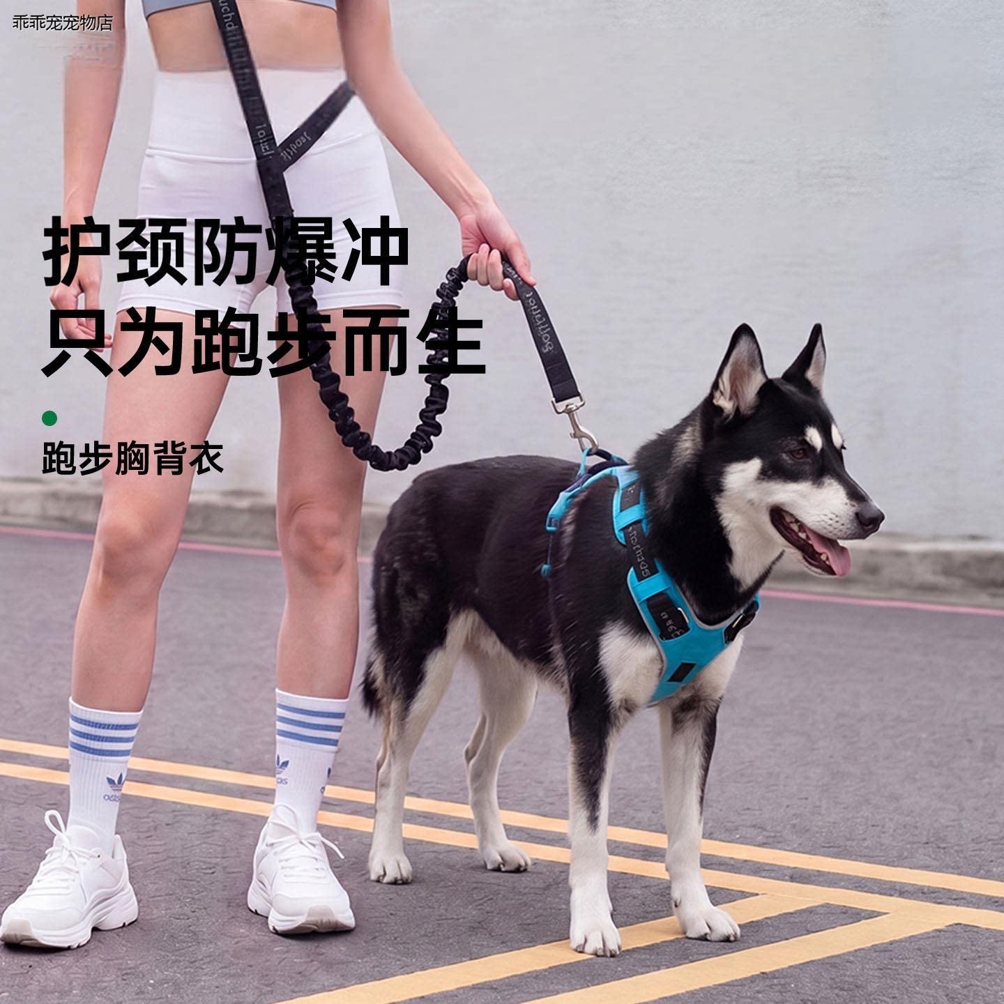 √Touchdog狗狗胸背中大
