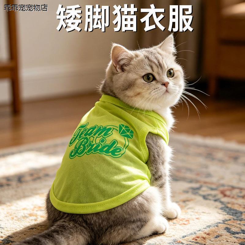 √矮脚猫衣服拿破仑曼基图片