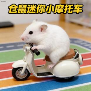 √宠物用品仓鼠迷你小摩托车解闷玩具金丝熊旋转炫技电动三轮车宠