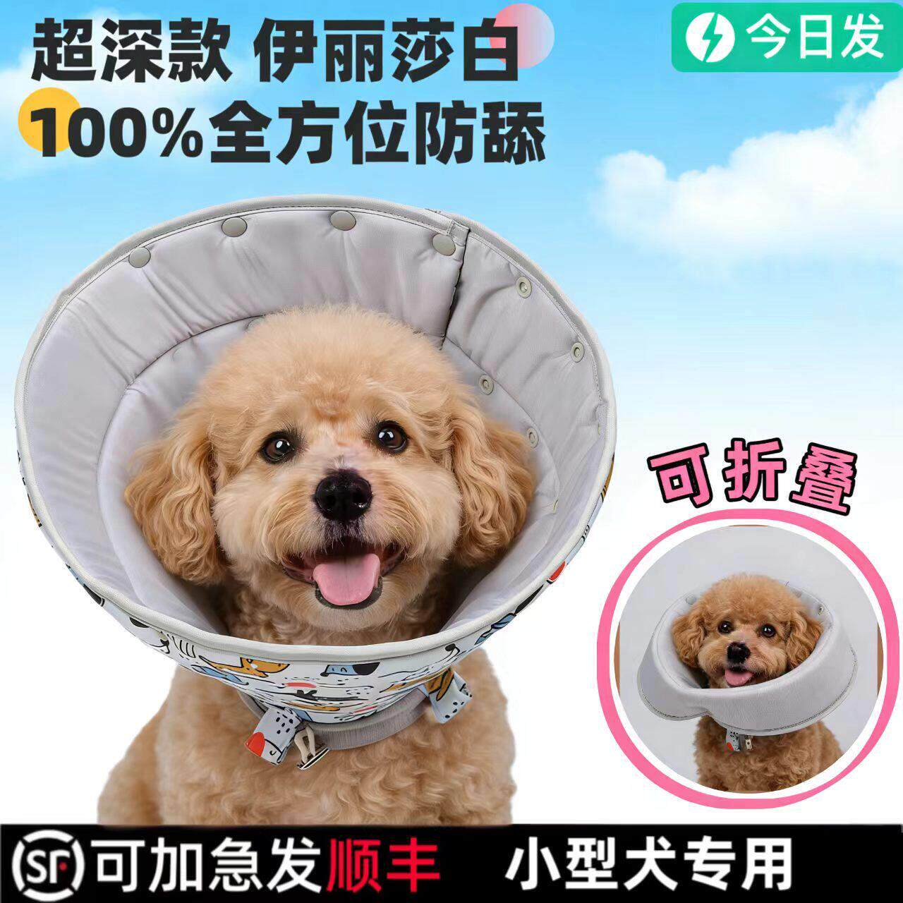 泰迪专用伊丽莎白圈绝育