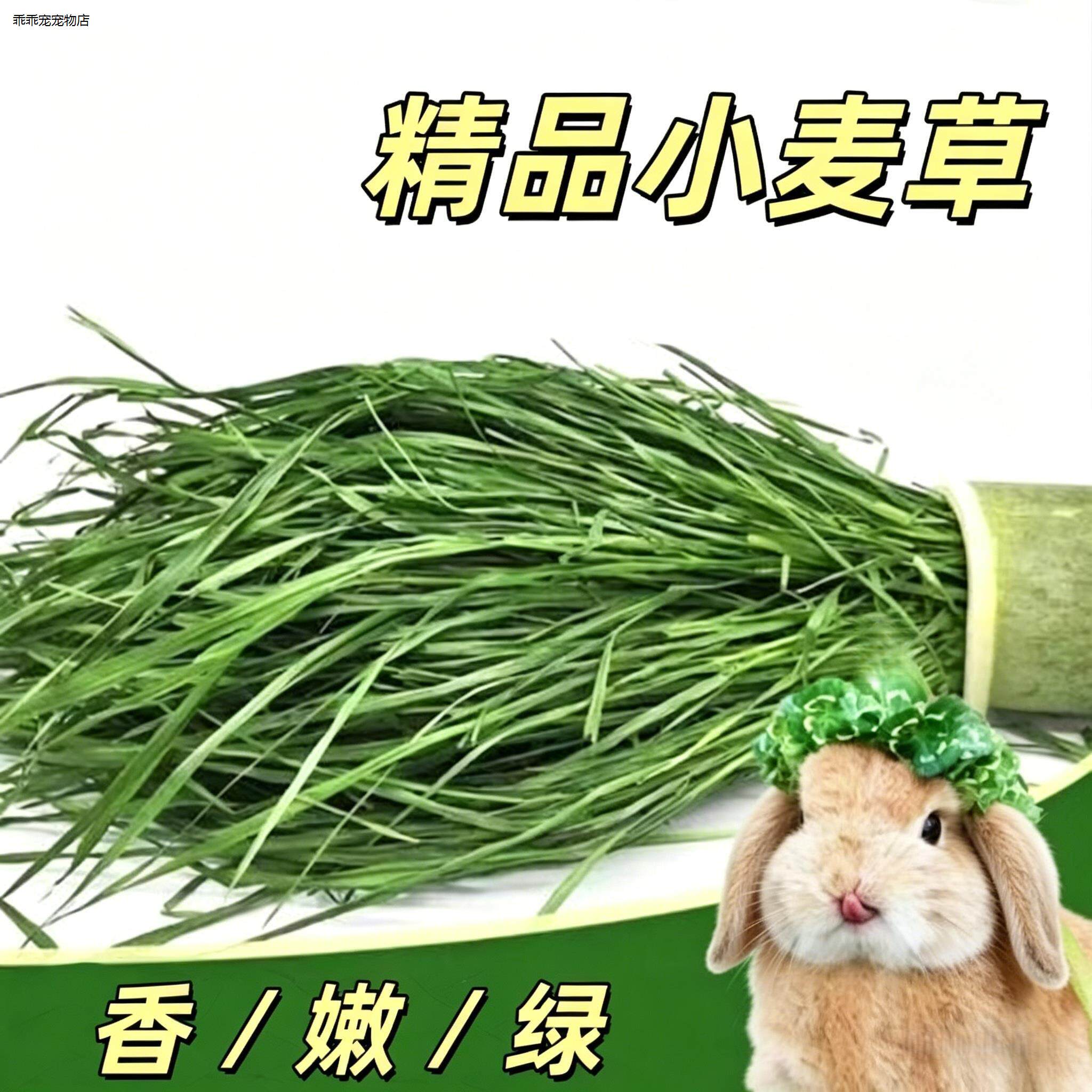 √26年新割烘干小麦草清