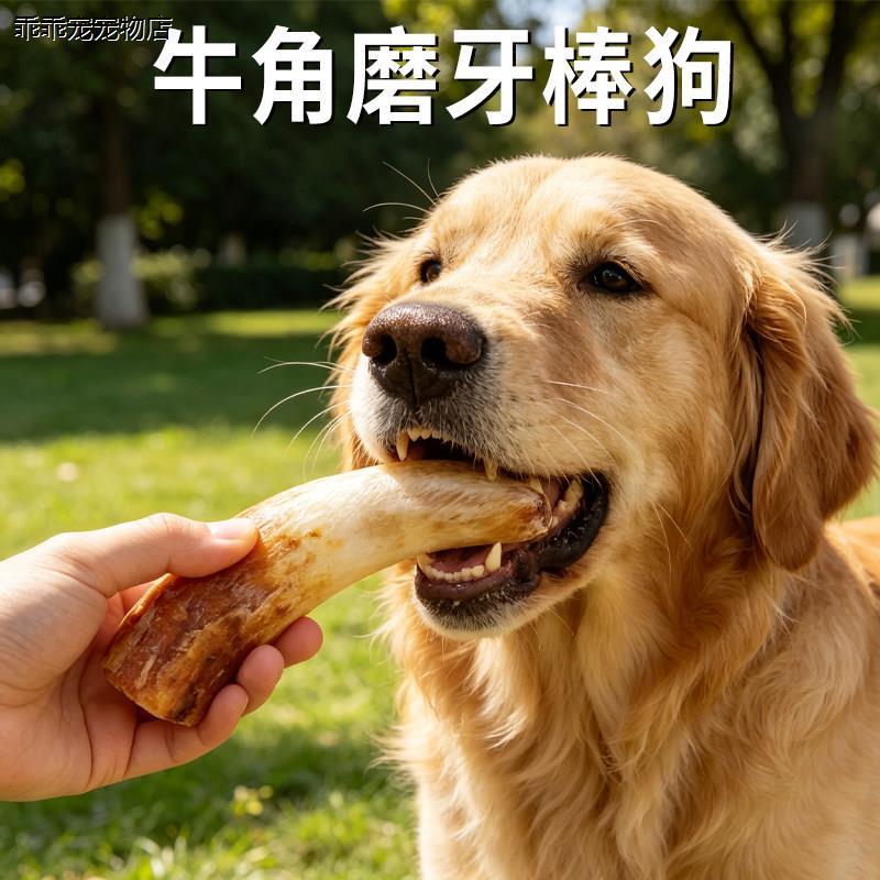 √牛角磨牙棒狗狗专用大图片