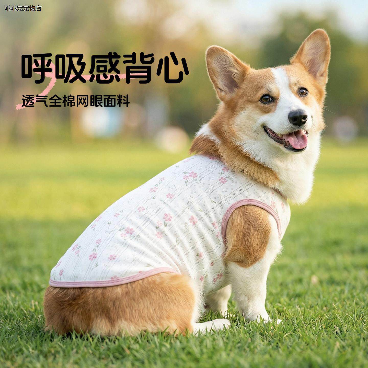 √宠物狗狗薄款衣服2026新款春装春季夏天中小型犬外出防脏柯基柴