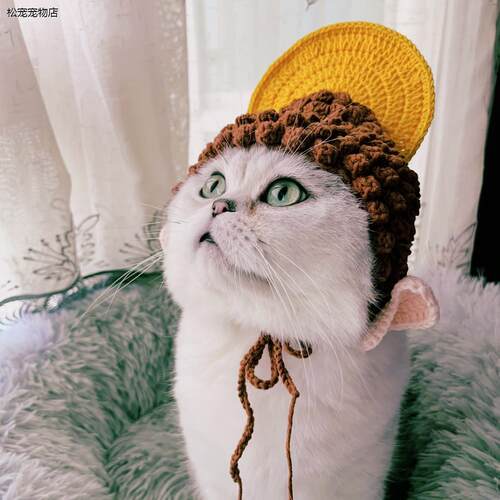 √宠物帽子猫狗通用手工