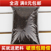 营养土花卉绿萝盆栽多肉通用土多肉植物家庭园艺蔬菜用泥炭土 包邮