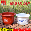塑料花盆无孔有孔耐用睡莲碗莲绿萝花卉多肉特价 清仓特大号 包邮