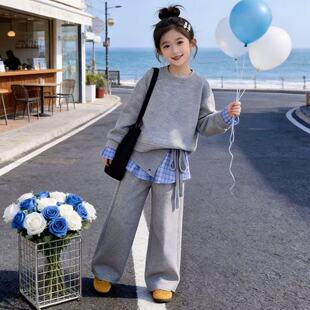 女童春装休闲运动卫衣套装2026新款洋气春秋款女孩屁帘卫裤两件套