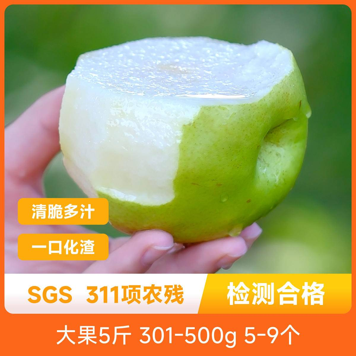 辰颐物语玉露丑梨时令水果脆甜青皮翠冠梨蜜梨子新鲜现摘产地直发