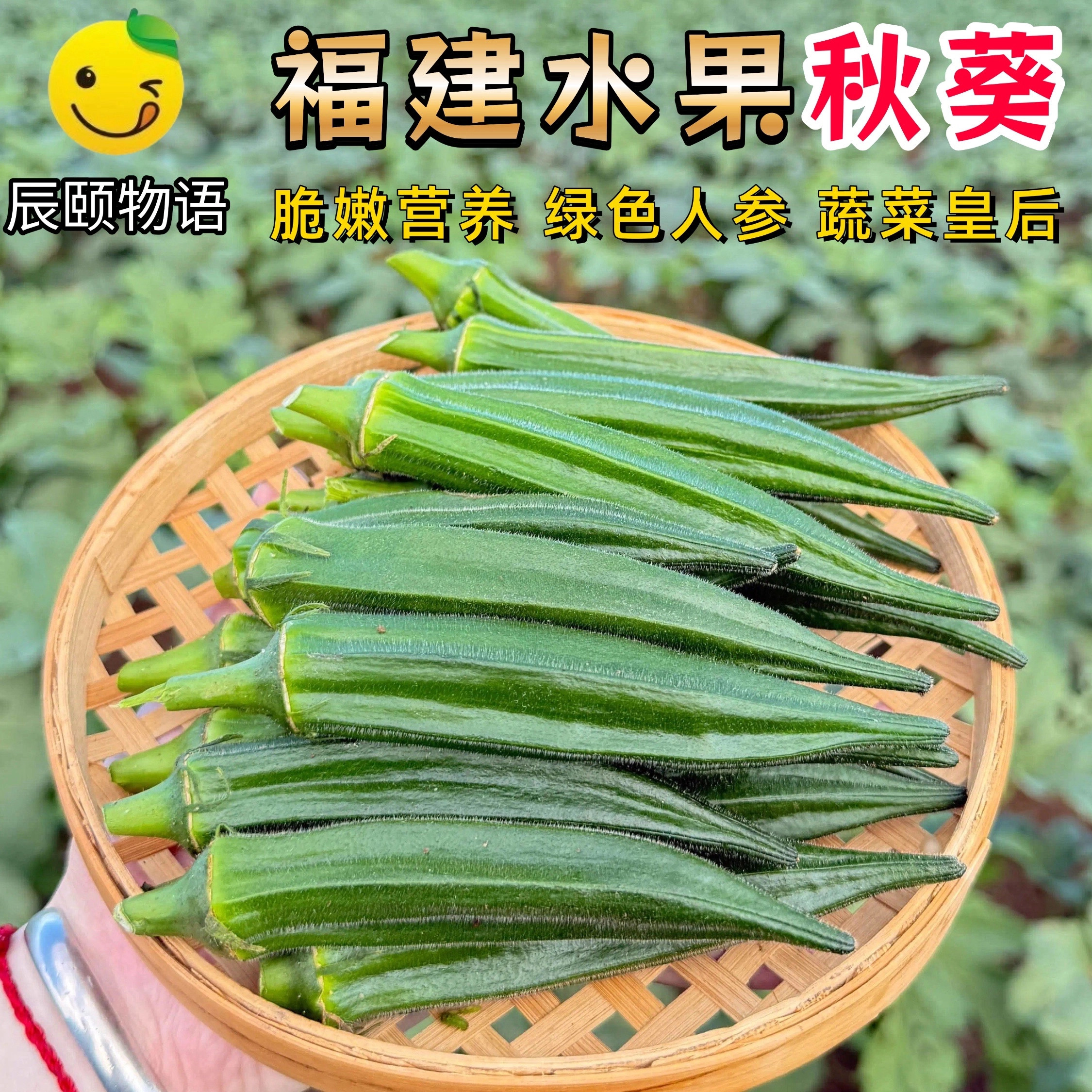 福建水果秋葵时令蔬菜新鲜采摘