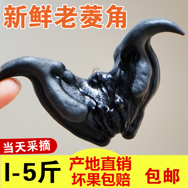 菱角新鲜老菱角当季水果蔬菜即食