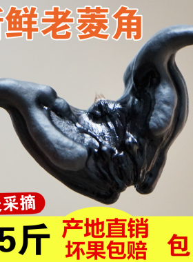 2025新鲜菱角现摘鲜老菱角5斤生吃当季水果蔬菜食现摘非1洪湖菱角