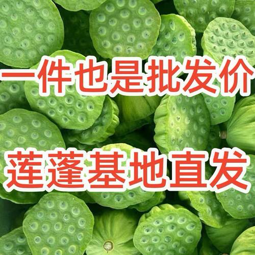 新鲜莲蓬现摘湘莲当季莲子生熟吃
