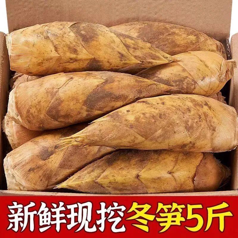 现货速发正宗野生新鲜竹笋甘甜笋