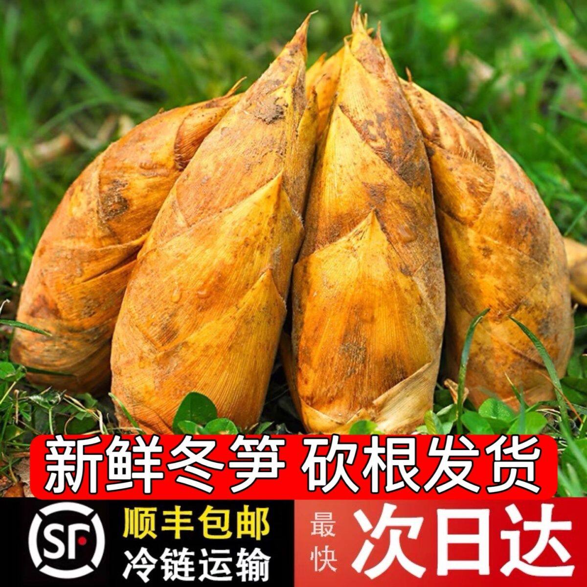 顺丰26冬笋新鲜现挖当季野生蔬菜高山黄泥笋甜笋楠竹笋冬笋非小笋