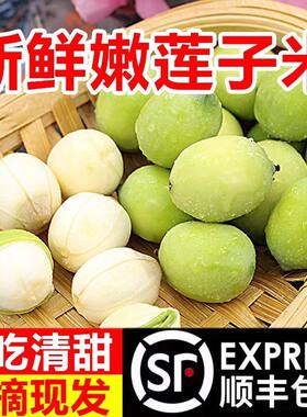 顺丰包邮湖南现剥嫩莲子生吃煲汤