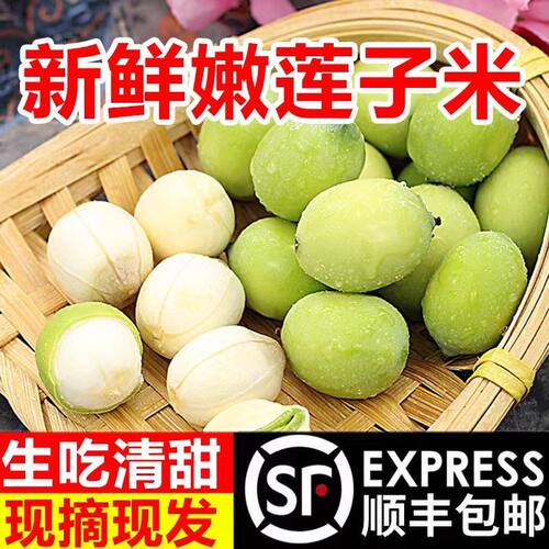 顺丰包邮湖南现剥嫩莲子生吃煲汤