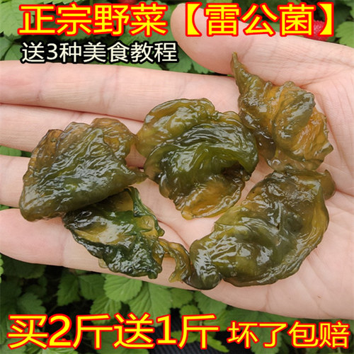 【春野菜】软香丝滑雷公菌地皮菜