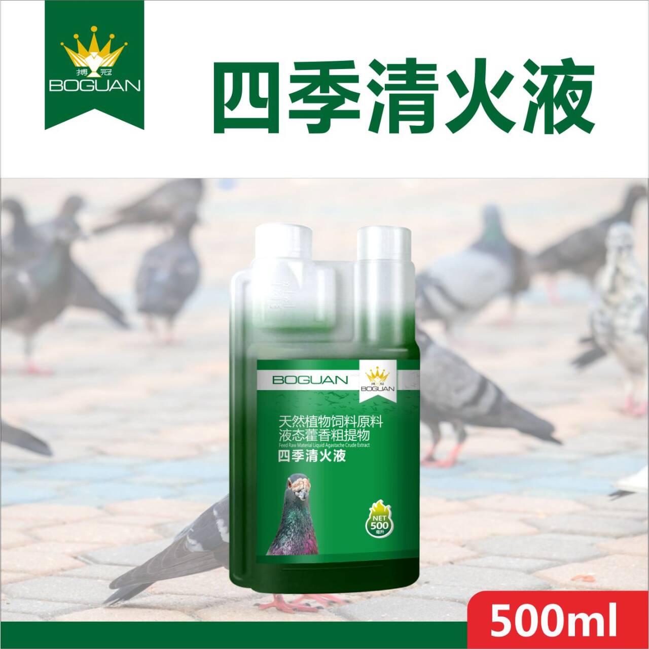 博冠鸽药四季清火液防中暑防虚脱抗疲劳增活力清暑解热专用保健品