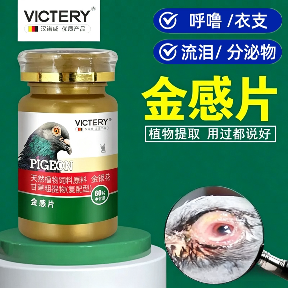 鸽子呼噜上下呼吸道伤风张口甩鼻