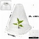 育苗保温罩重复使用方形植物钟罩大棚防护鸟类霜冻伤害保护防虫袋