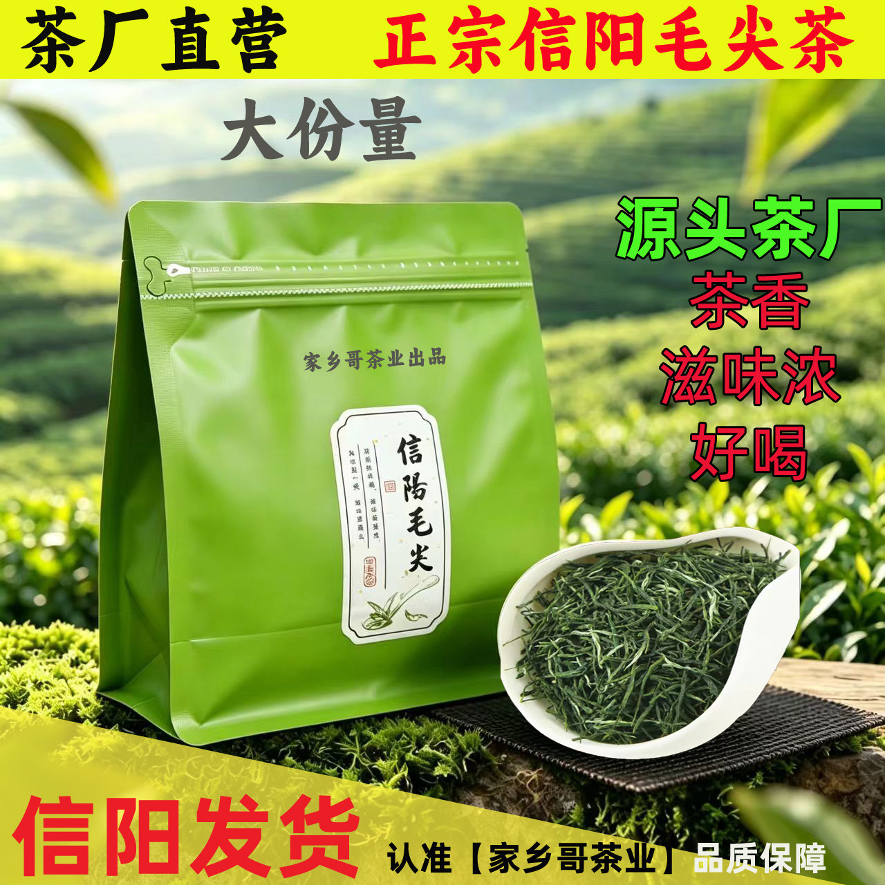 源头茶厂信阳毛尖绿茶大份量好喝