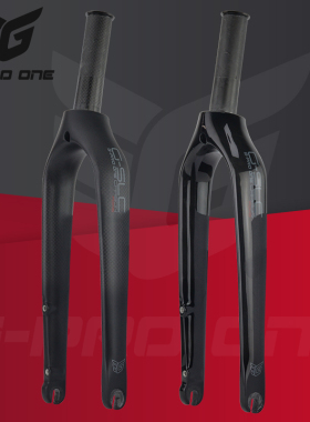G-PRO ONE 20寸碳纤维碟刹前叉 451折叠自行车轻量风行D8改装升级