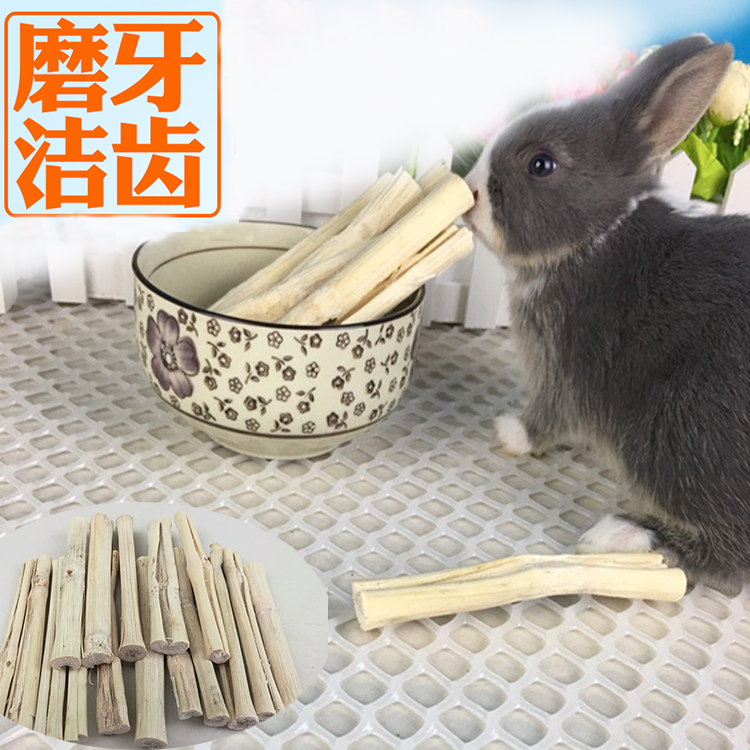 磨牙棒零食兔子豚鼠龙猫包邮甜竹