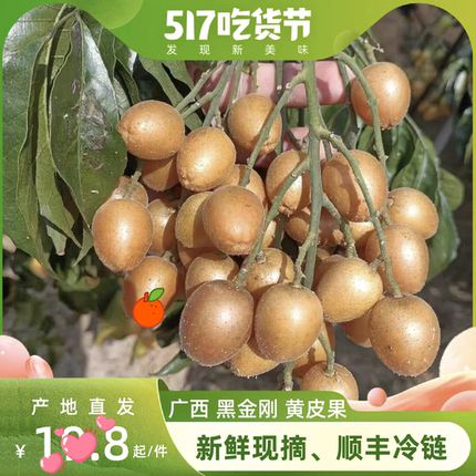 鸡心黄皮果 贵妃黑金刚黄皮果新鲜现摘现发 产地一件批发顺丰包邮
