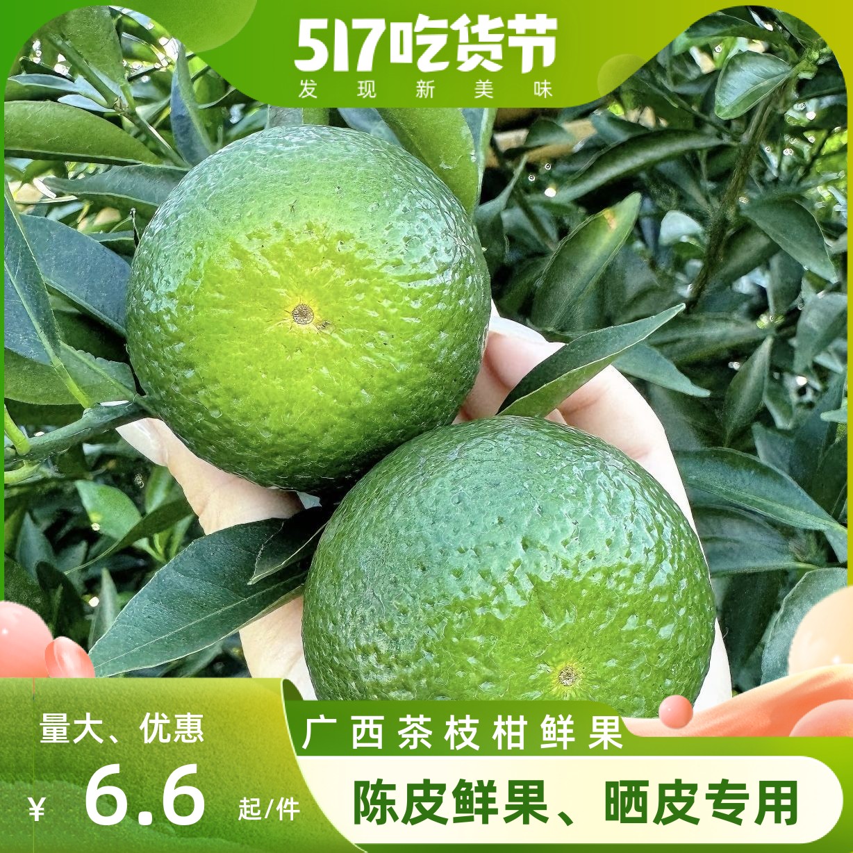 茶枝柑鲜果 嗮皮专用陈皮果 正宗新会大青柑 小青柑 二红柑大红柑