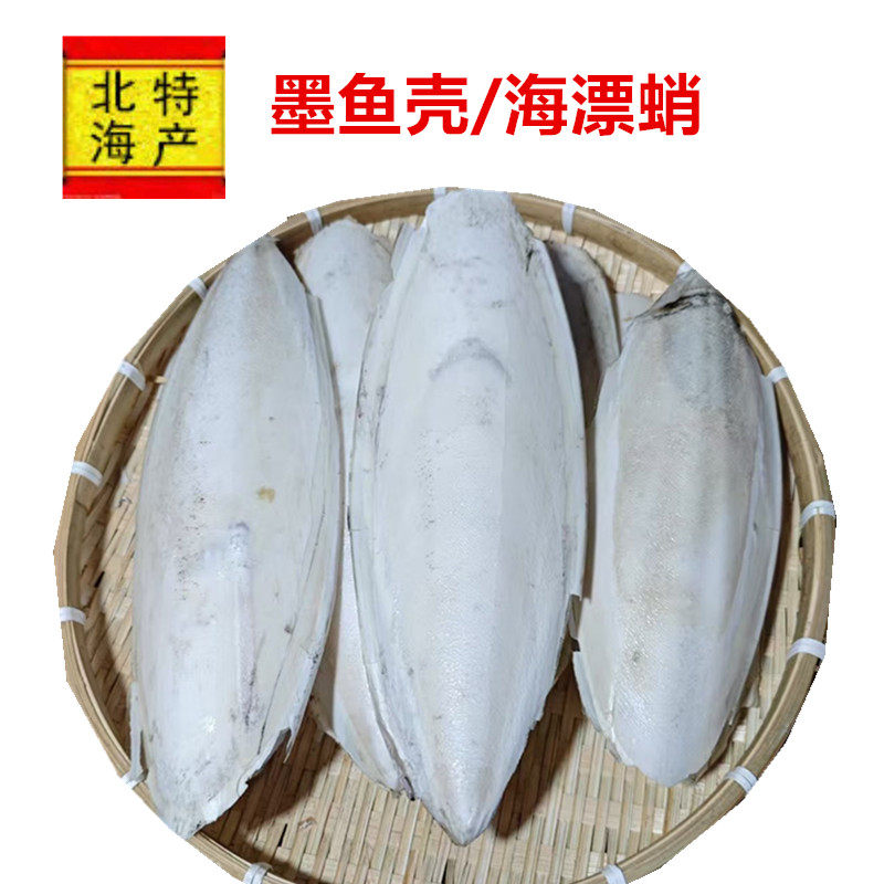 广西北海墨鱼壳海螵蛸墨鱼骨