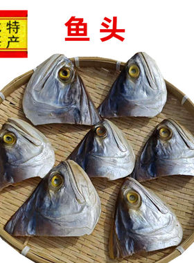 广西北海渔民自晒大鱼头海鱼头干