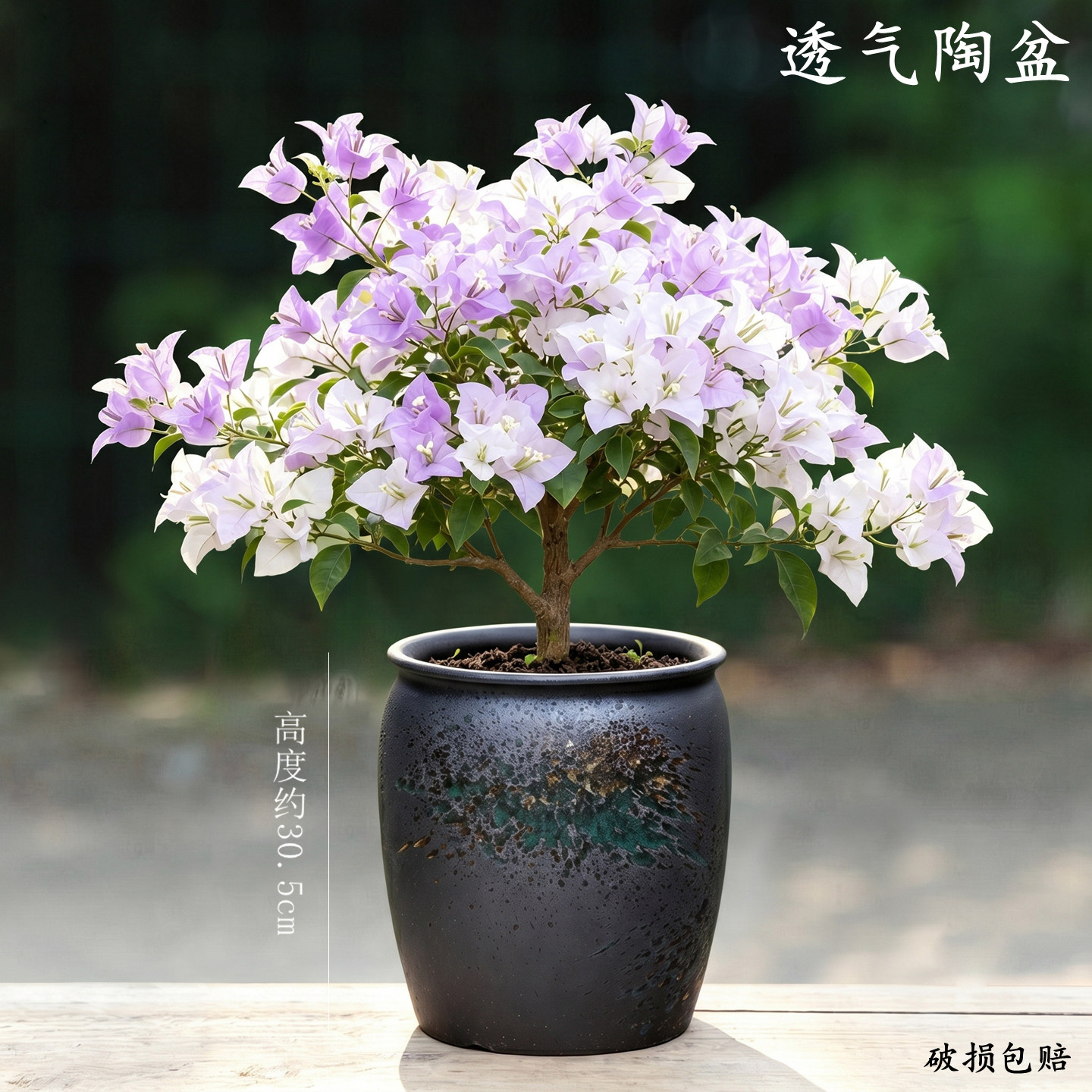 大口径三角梅复古透气陶瓷花盆图片