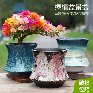 大口径家用多肉兰花三角梅蝴蝶兰绿萝盆栽绿植陶瓷花盆组合清仓价